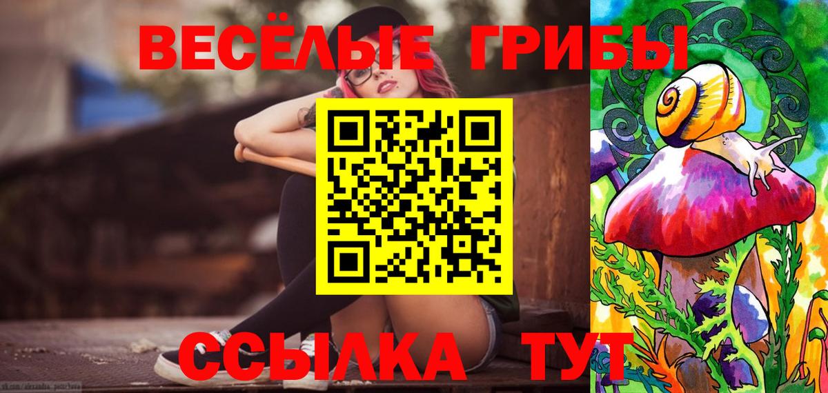Псилоцибиновые грибы мицелий  Псилоцибиновые грибы GOLDEN TEACHER  Вход с VPN  Миллерово 