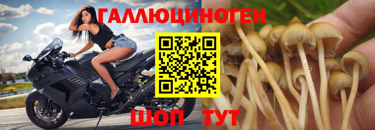 Галлюциногенные грибы MAGIC MUSHROOMS Миллерово